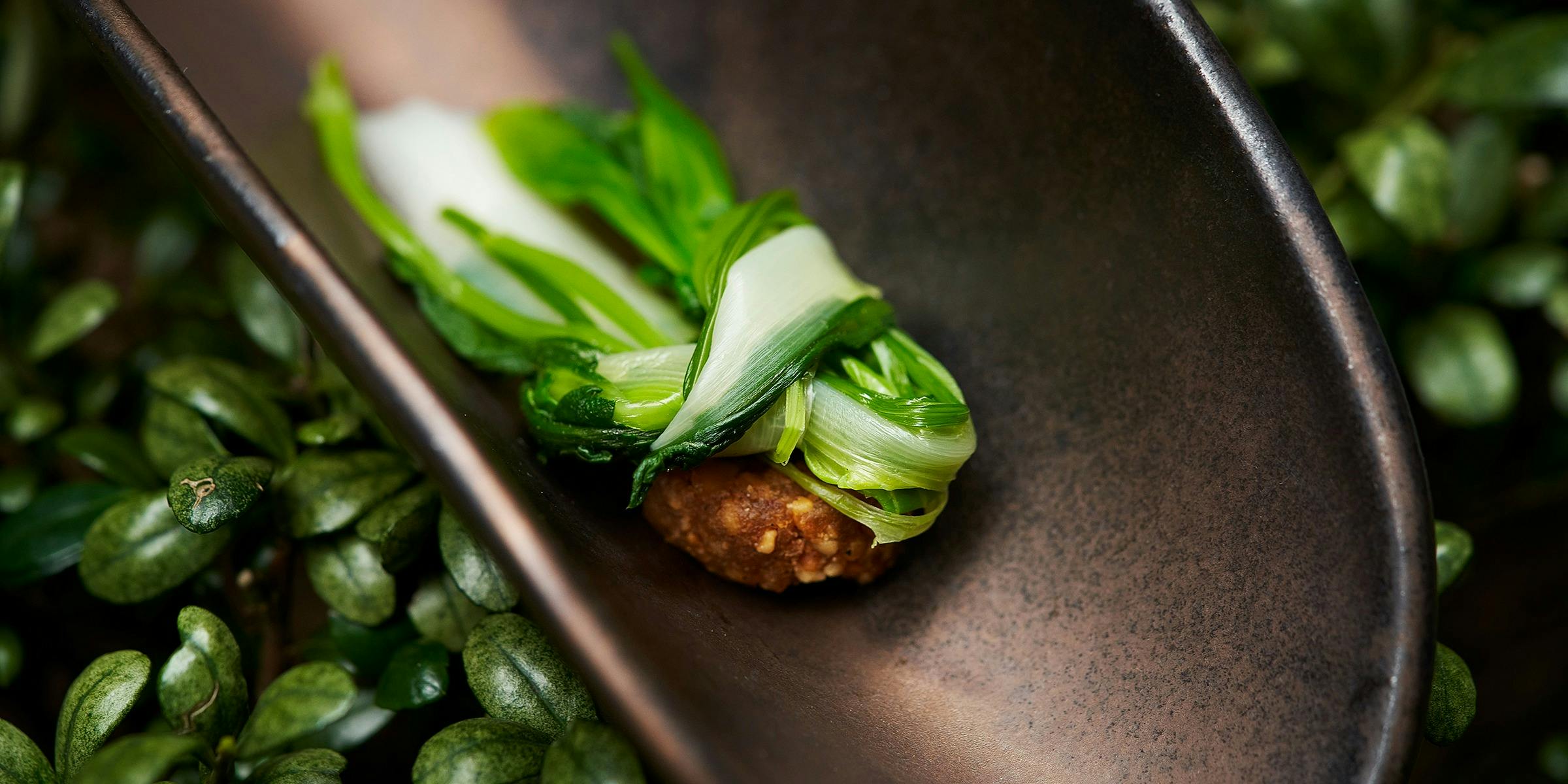 Ayatana（アヤタナ）