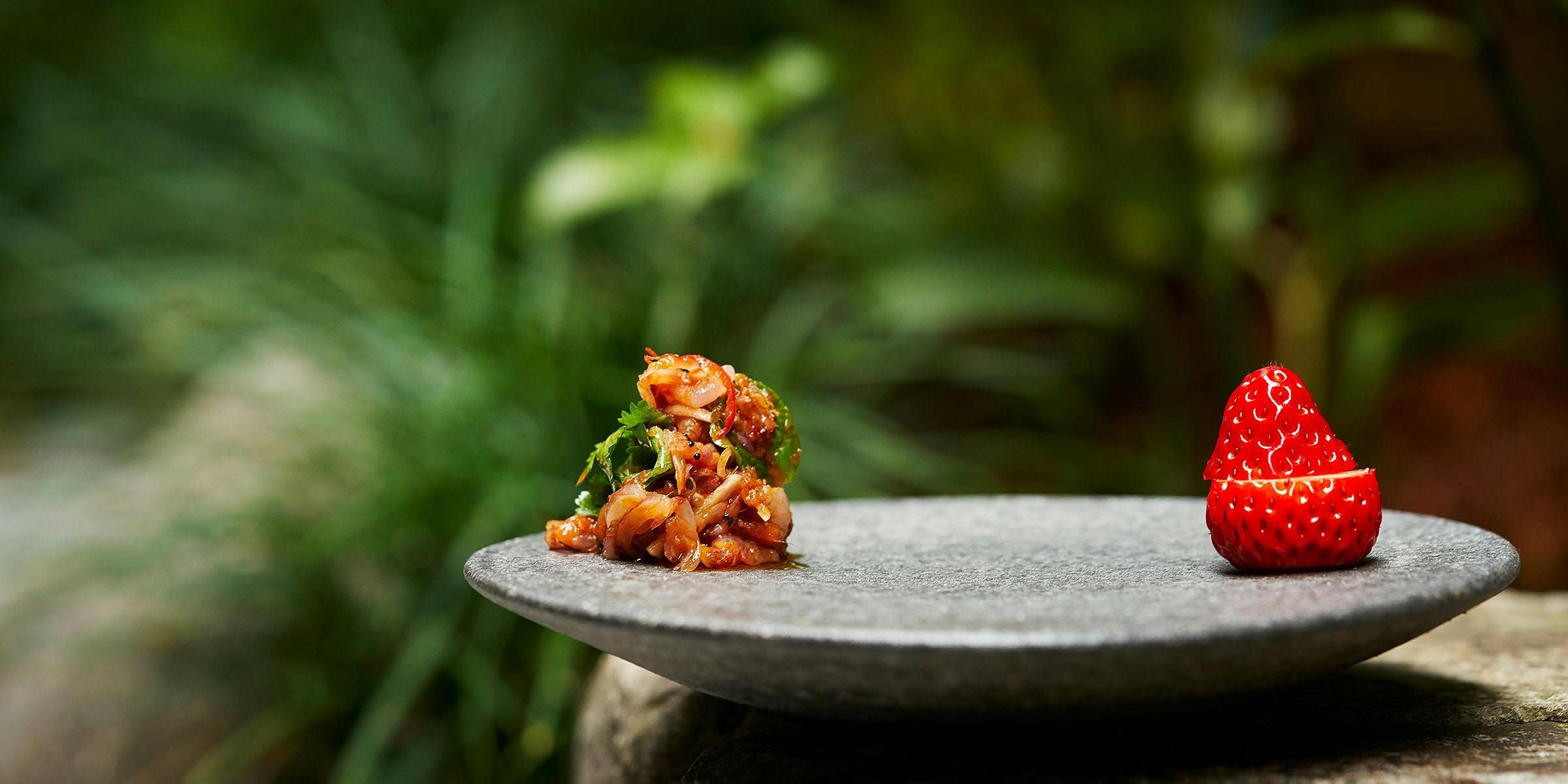 Ayatana（アヤタナ）