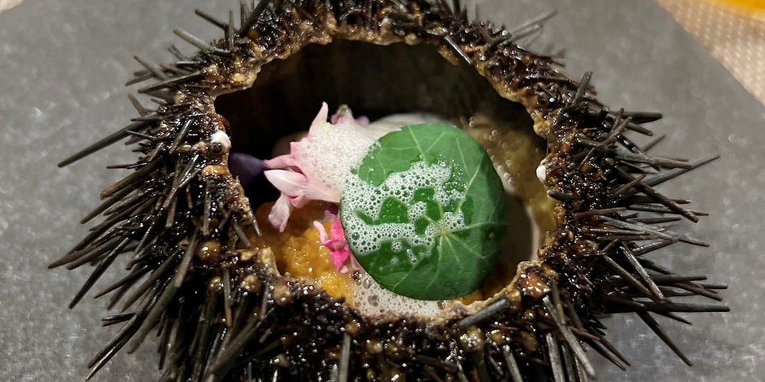 大阪 天ぷら さく（【旧店名】天麩羅 朔）