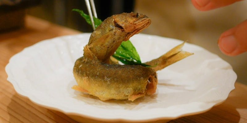 【季節の御料理コース】日常に華を添える季節の御料理全9品