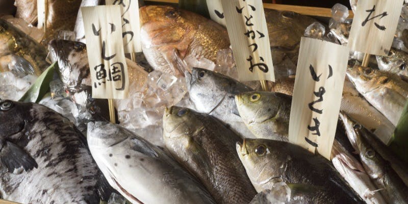 【カジュアルに】季節の魚介、旬野菜のランチコース（平日13時以降ご来店）