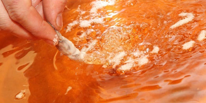 【軽めのディナーに】ふじ喜屋ライトプラン（テーブル席・平日のみ）