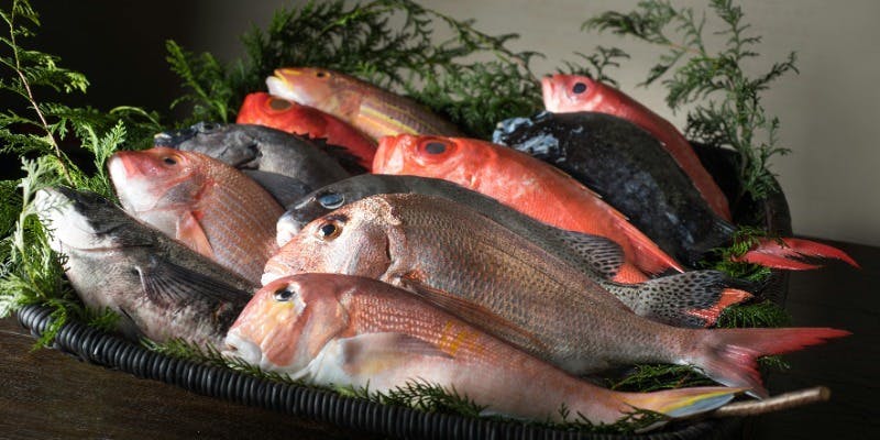 【季節のご馳走＜弐（に）＞】季節の魚介、鰻、車エビ/アワビなど天ぷら盛りのコース＋2時間飲み放題付