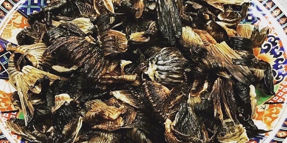 創鮓 庵河豚 - 画像3