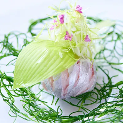 春夏秋冬、季節に合わせた厳選食材でご用意する創作フレンチ