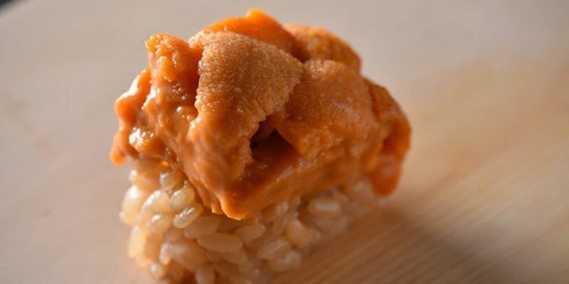 【鮨と酒肴の姫沙羅コース】その日一番美味しいものを、全てお任せでご用意いたします