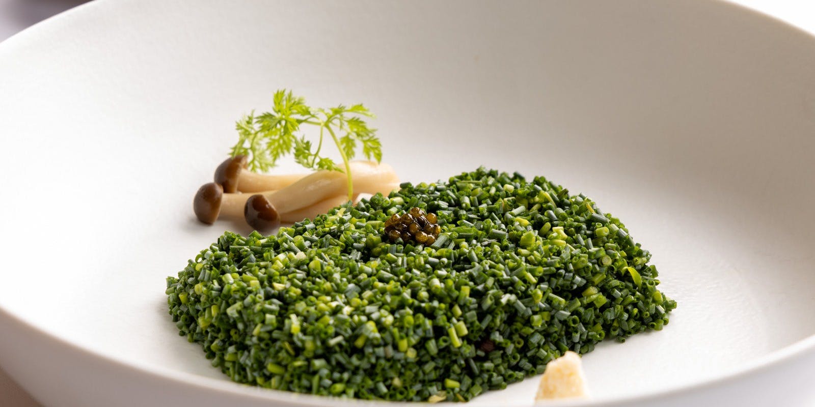 欧風料理 典 【お席のみのご予約】 ディナー プラン(12001714)・メニュー