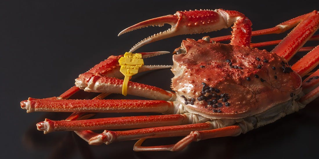 恵比寿 蟹よし - 画像5