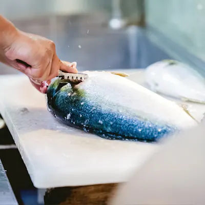 新鮮魚