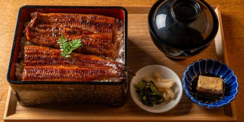 魚とごはん 黒座椿亭