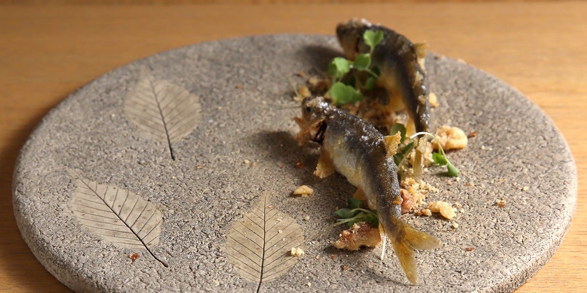 日本料理 e.（ニホンリョウリ　イーピリオド）