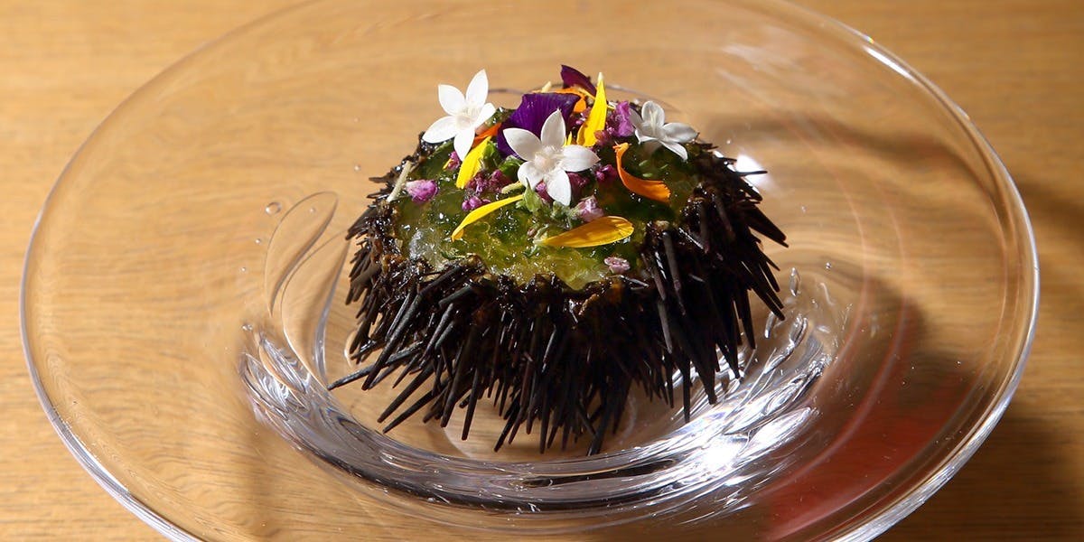 日本料理 e.（ニホンリョウリ　イーピリオド）