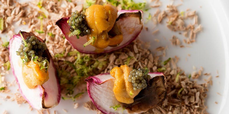 日本ワイン 海と土