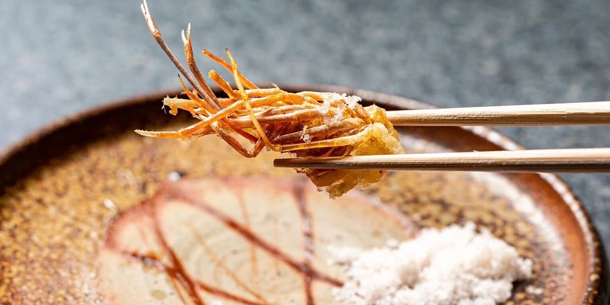 Shienn（シエン）