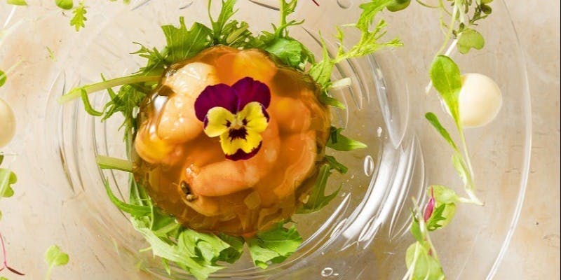 【ディナー】メイン料理を魚または肉料理からチョイスしていただく【Menu de SUR　～山～ 】