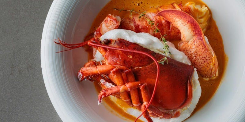 PLEIN 銀座本店 - 画像13