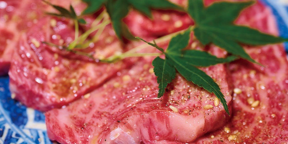 肉 希々（キキ）