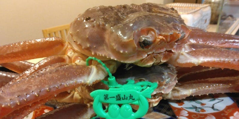 【おすすめ】松葉ガニコース（11月～3月限定　ディナー）