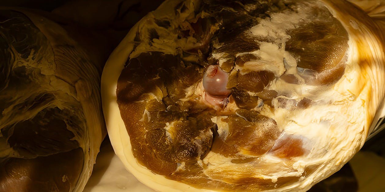 PARCOFIERA - 画像7