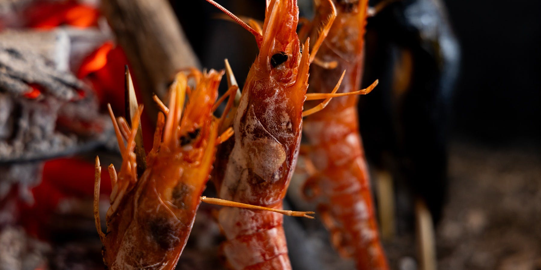 北海道炉端焼き 篝 - 画像5