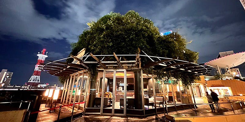 GREVILLEA 近江牛フレンチ割烹 - 画像4