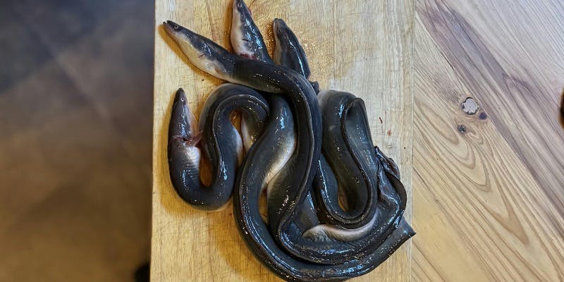 【平日限定　special　Lunch】（（1日1組限定））