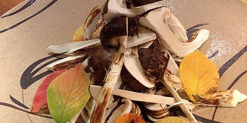 らん亭～ 美日庵（らんてい～びびあん）