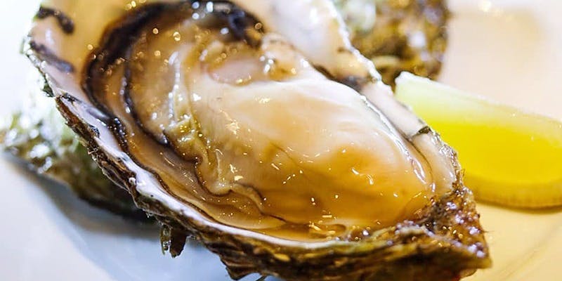 Mira!たまプラーザ（ミラタマプラーザ）