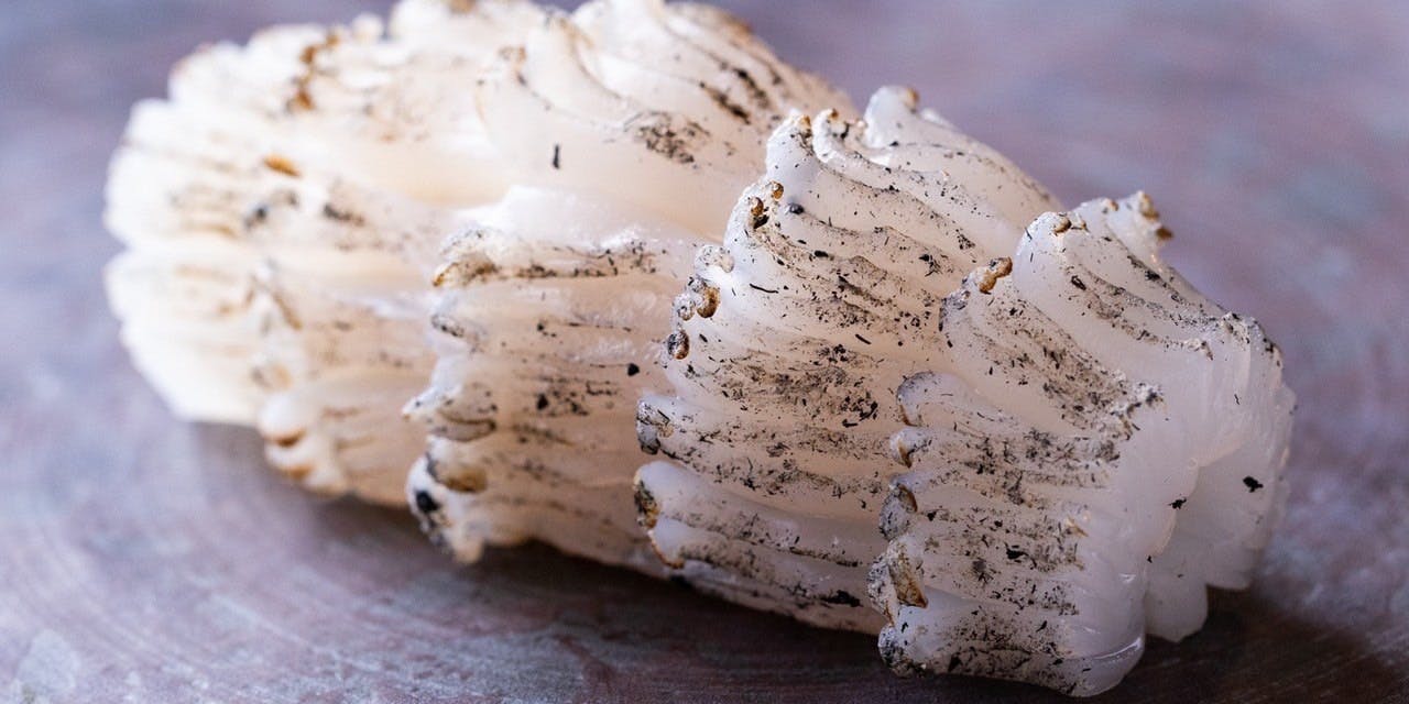 梅田 鮨処いこう - 画像4