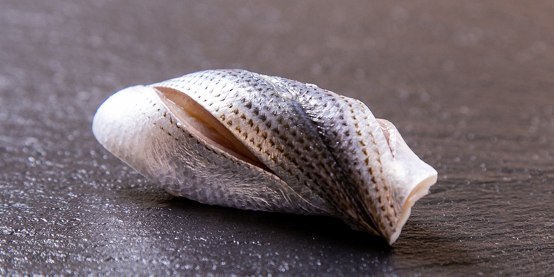 ぎんざ鮨一代 有吾 - 画像4