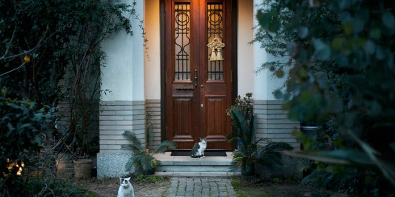 チェルカ トローヴァ - 画像2