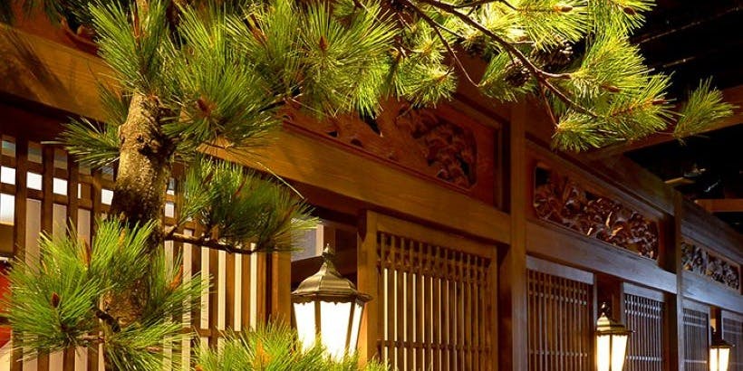 名古屋コーチンと本格焼き鳥 鳥料理 鳥心 名駅店 - 画像2