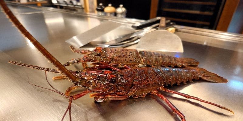 【伊勢海老付き黒毛和牛コース】　全10品（ヒレコース）