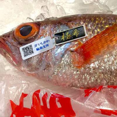 食材に込める想い