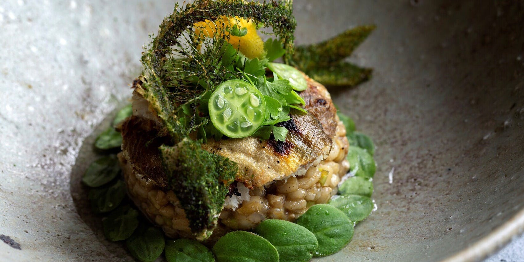 luogo 自由ヶ丘店 - 画像5