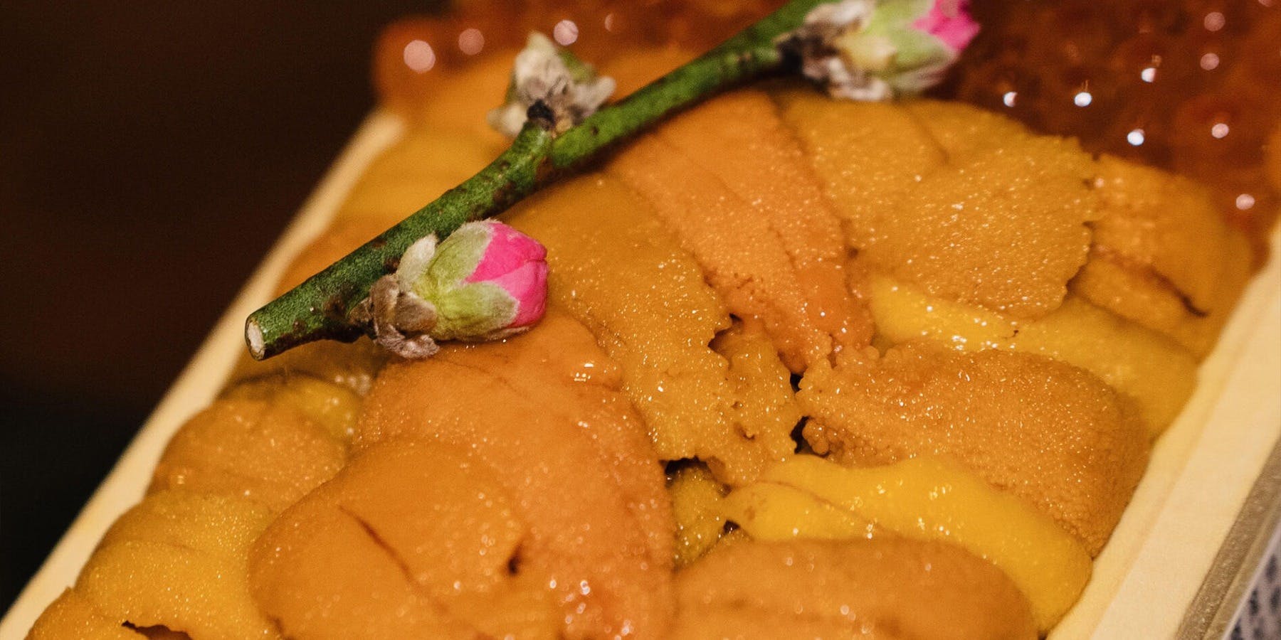 船バル酒場くらむぼん