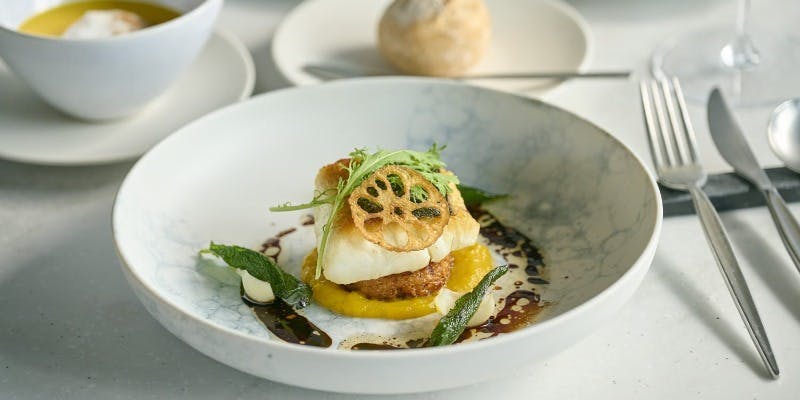 【Lunch Course】季節の前菜＋メインが選べる贅沢ランチコース全4品