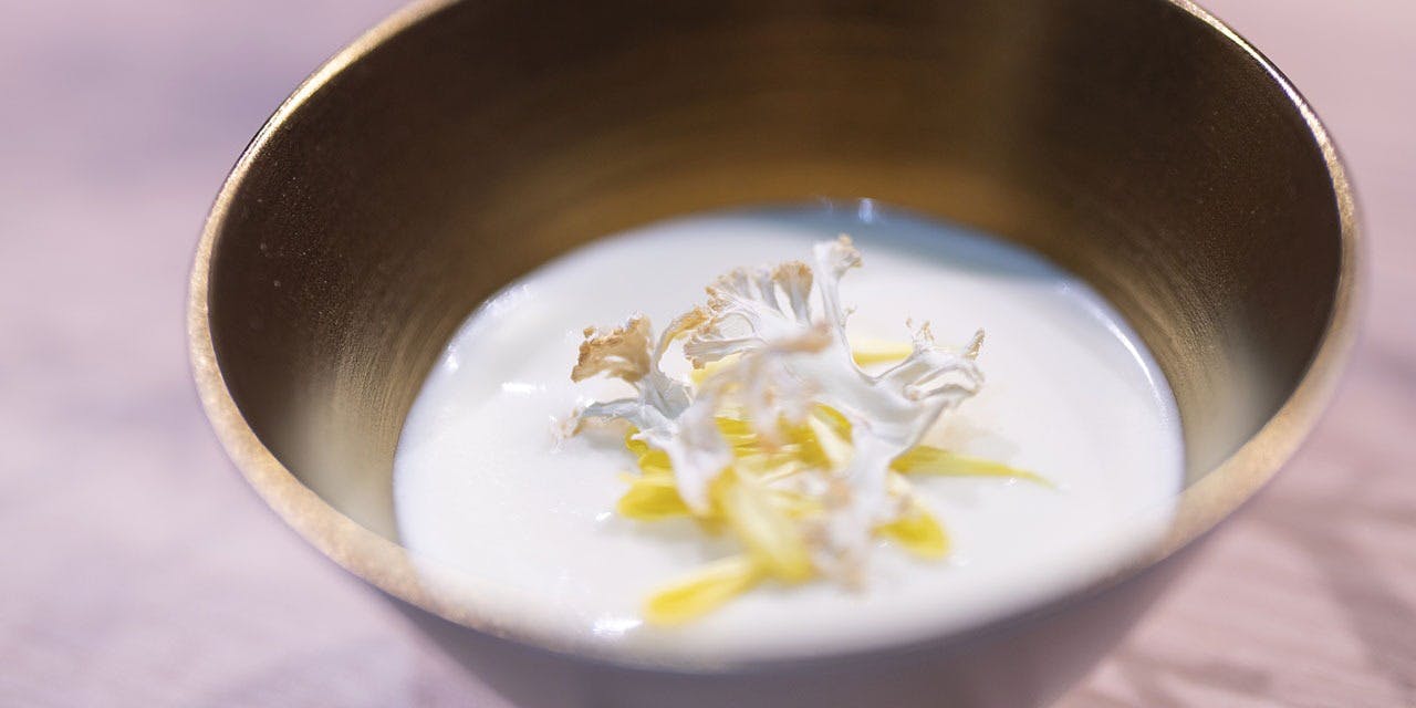 Mio Kojima（ミオ コジマ）