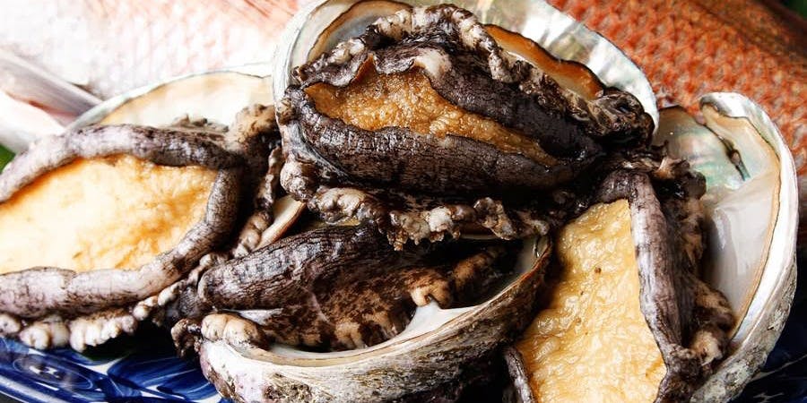 知喜多 横浜西口店（チキタ）