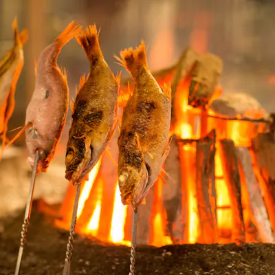 特大最高級のどぐろを原始焼きという調理法で贅沢な姿焼きに