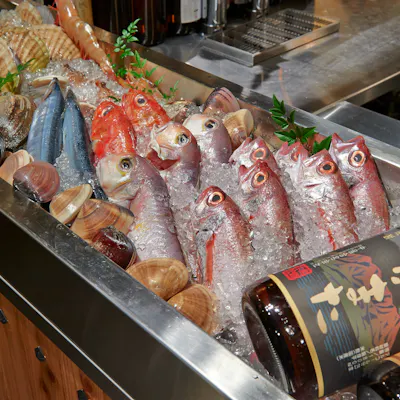 漁港・市場から直送される鮮魚は、味、食感が違います