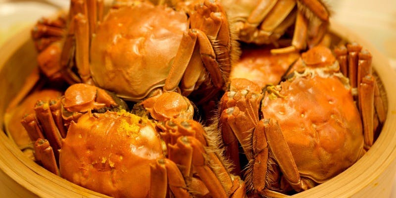 上海蟹づくしコース