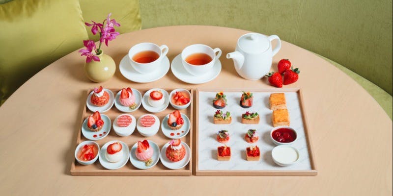 Sophie at EDITION�^�����G�f�B�V�������