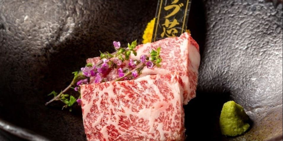 値下げ！越前焼き　弐茎庵　〆向付五客 値下げ！越前焼き 弐茎庵 〆向付五客 値下げ！越前焼き 弐茎庵 〆向付五客