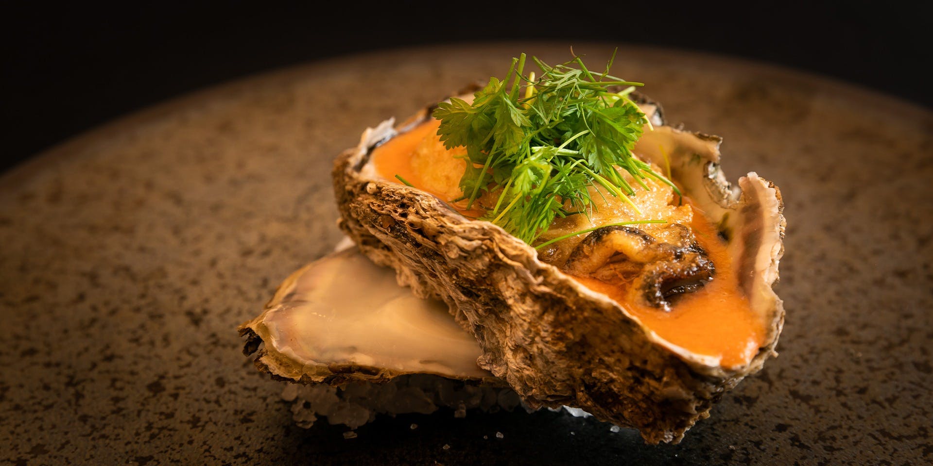 篝日（kagaribi）