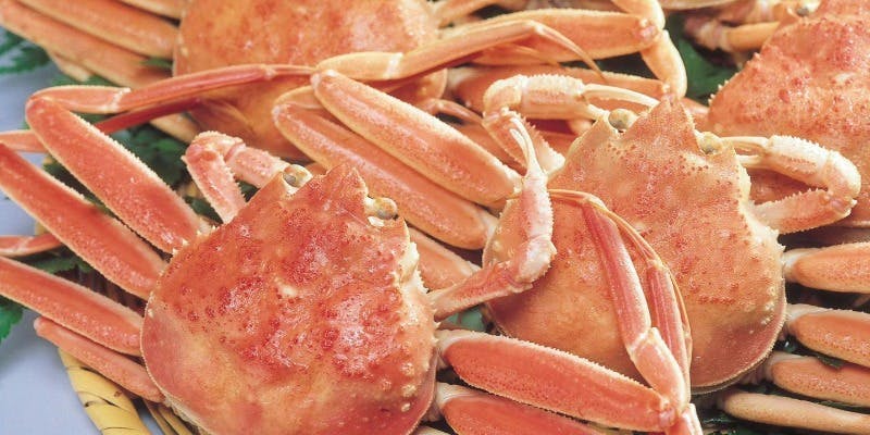 【冬季限定】香箱かに満喫ランチ～華やぎの味わい～