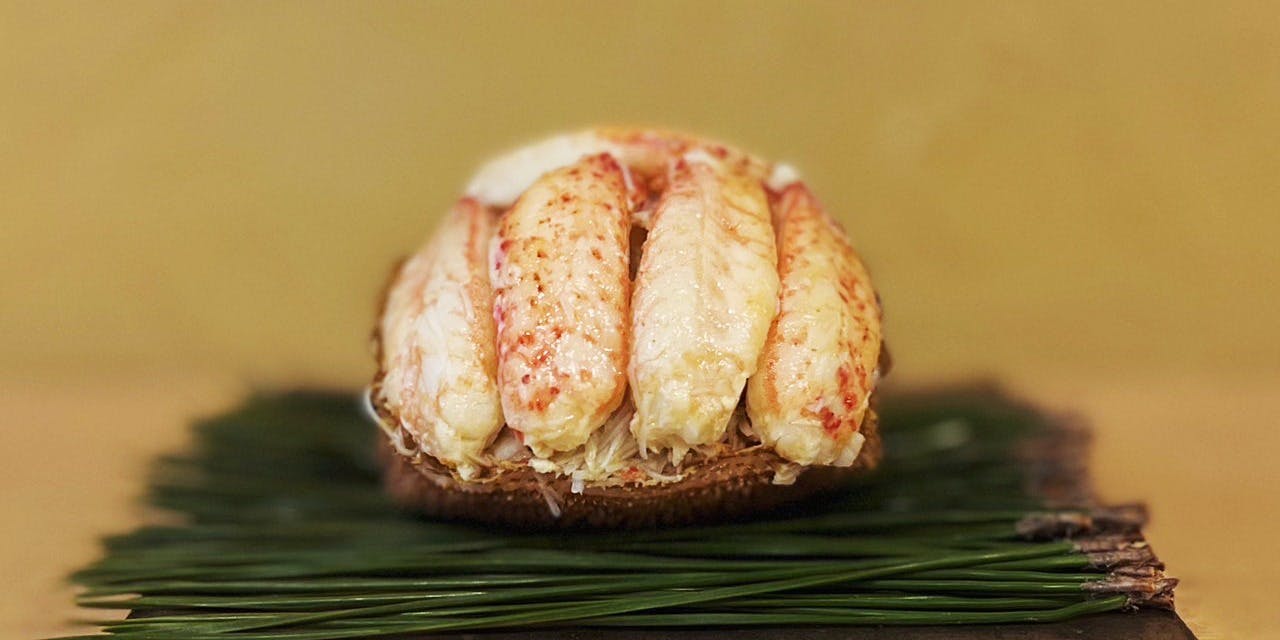 はちこん KOITO ハイパワーバルブ C-08 T16 12V16W P8814 | 補修用品 通販