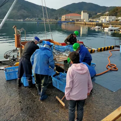 産地直送の仕入れ