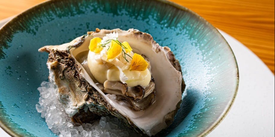 affetto akita - 画像5