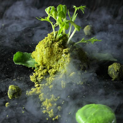 新鮮な食材で内容と構成